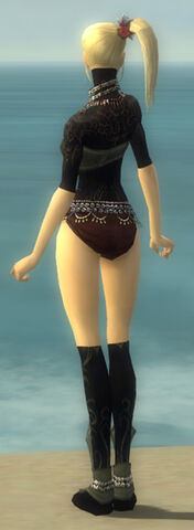 File:Ritualist Kurzick Armor F gray chest feet back.jpg