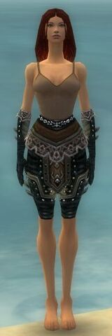 File:Ranger Elite Kurzick Armor F gray arms legs front.jpg