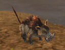 Impressive Warthog