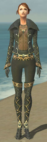 File:Mesmer Krytan Armor F gray front.jpg