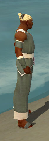 File:Monk Ascalon Armor M gray side.jpg