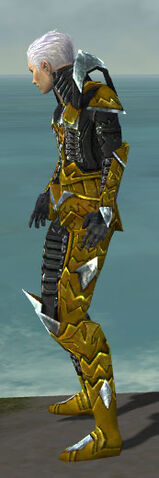 File:Necromancer Profane Armor M dyed side.jpg