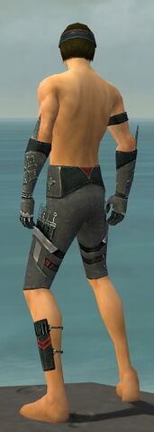 File:Assassin Canthan Armor M gray arms legs back.jpg
