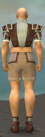 File:Monk Censor Armor M gray chest feet back.jpg