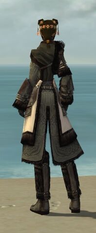 File:Ranger Norn Armor F gray back.jpg
