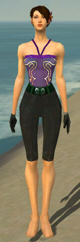 File:Mesmer Tyrian Armor F gray arms legs front.jpg