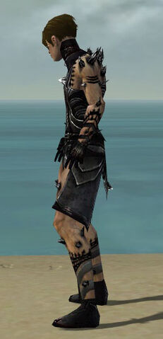 File:Necromancer Obsidian Armor M dyed side.jpg