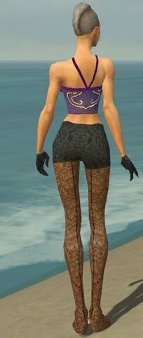 File:Mesmer Elite Elegant Armor F gray arms legs back.jpg