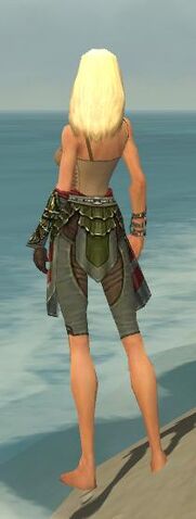 File:Ranger Elite Luxon Armor F gray arms legs back.jpg