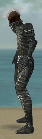 File:Necromancer Necrotic Armor M gray side.jpg