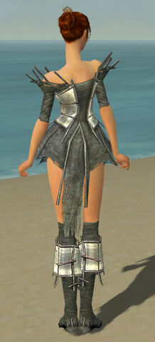 File:Elementalist Primeval Armor F gray chest feet back.jpg