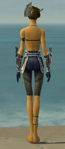File:Assassin Norn Armor F gray arms legs back.jpg