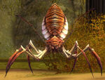 GiantNeedleSpider