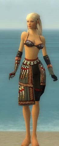 File:Ritualist Elite Canthan Armor F gray arms legs front.jpg