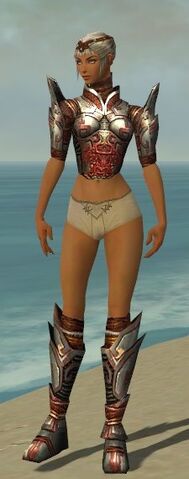 File:Warrior Asuran Armor F gray chest feet front.jpg