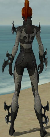 File:Assassin Kurzick Armor F gray back.jpg