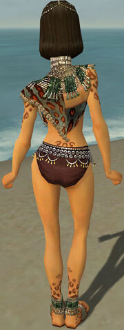 File:Ritualist Elite Exotic Armor F gray chest feet back.jpg