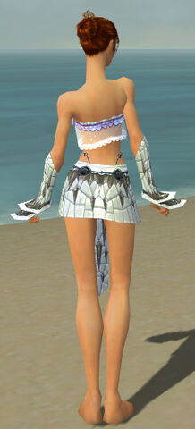 File:Elementalist Elite Iceforged Armor F gray arms legs back.jpg