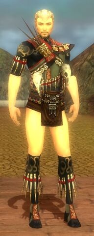 File:Ritualist Elite Canthan Armor M gray chest feet front.jpg