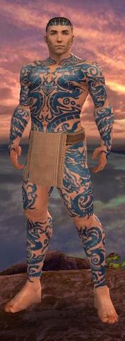 File:Bringer Of Divinity.jpg