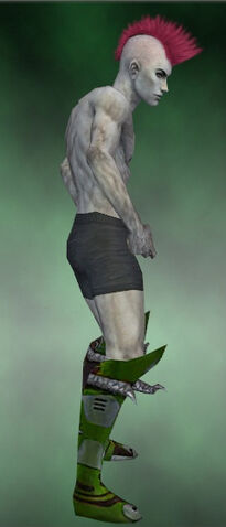 File:Demonhorn Boots M dyed side.jpg