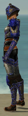 File:Warrior Elite Canthan Armor F dyed side.jpg