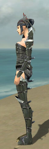 File:Necromancer Profane Armor F gray side.jpg