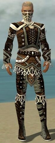 File:Ranger Kurzick Armor M gray front.jpg
