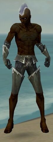 File:Necromancer Tyrian Armor M gray arms legs front.jpg