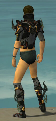 File:Assassin Elite Kurzick Armor M gray chest feet back.jpg