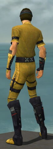 File:Assassin Shing Jea Armor M dyed back.jpg