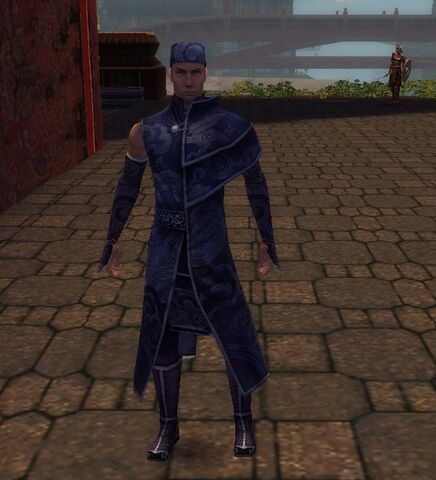 File:Human in Cantha.jpg