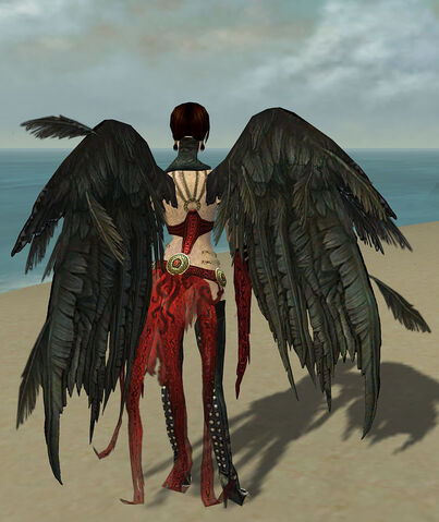 File:Raiment of the Lich F body back.jpg