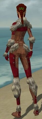 File:Ranger Fur-Lined Armor F dyed back.jpg