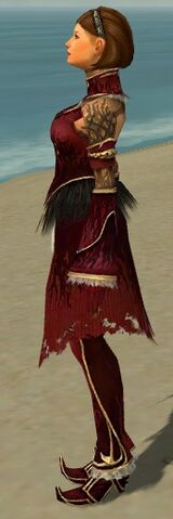 File:Mesmer Primeval Armor F dyed side.jpg