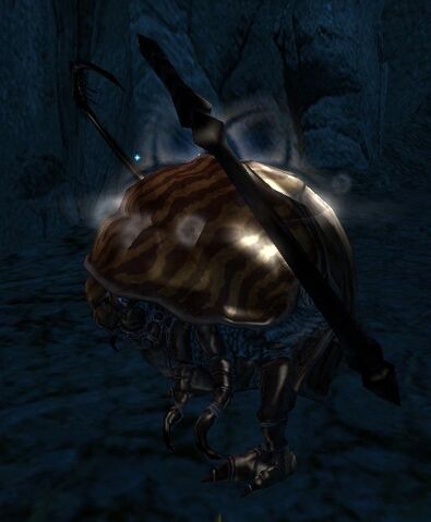 File:Thorn Beetle.jpg