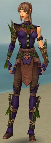 File:Ranger Druid Armor F dyed front.jpg