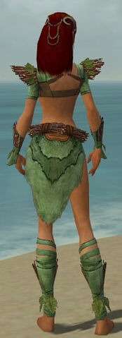 File:Ranger Elite Druid Armor F dyed back.jpg