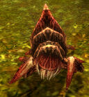 AloeHusk