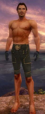 File:Mesmer Primeval Armor M gray arms legs front.jpg