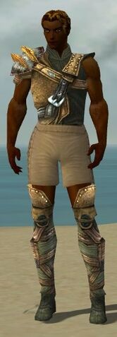 File:Ranger Tyrian Armor M gray chest feet front.jpg