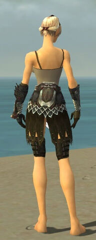 File:Warrior Silver Eagle Armor F gray arms legs back.jpg