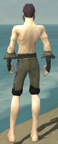 File:Elementalist Elite Kurzick Armor M gray arms legs back.jpg
