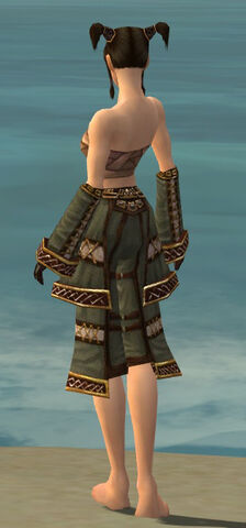 File:Monk Elite Kurzick Armor F gray arms legs back.jpg