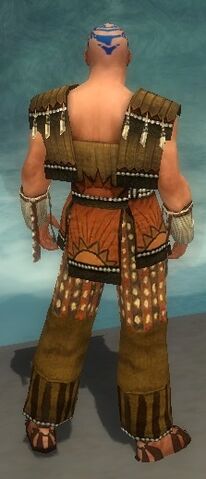 File:Monk Sunspear Armor M dyed back.jpg
