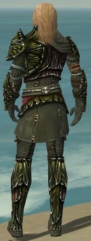 File:Ranger Elite Luxon Armor M gray back.jpg