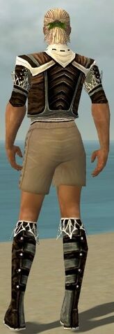 File:Ranger Kurzick Armor M gray chest feet back.jpg