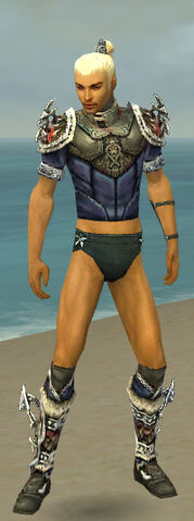 File:Assassin Norn Armor M gray chest feet front.jpg