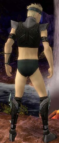 File:Assassin Luxon Armor M gray chest feet back.jpg