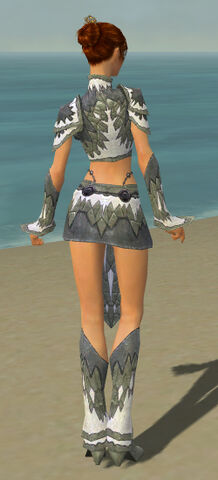 File:Elementalist Iceforged Armor F gray back.jpg